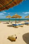 Magic Life Africana Imperial 